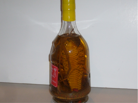  Cobra snake in rice wine.   Drink for  “rheumatism” and “sweat of the limbs”.  Drink twice a day, before meals.